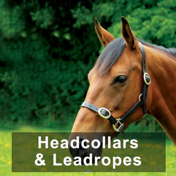 Headcollars & Leadropes