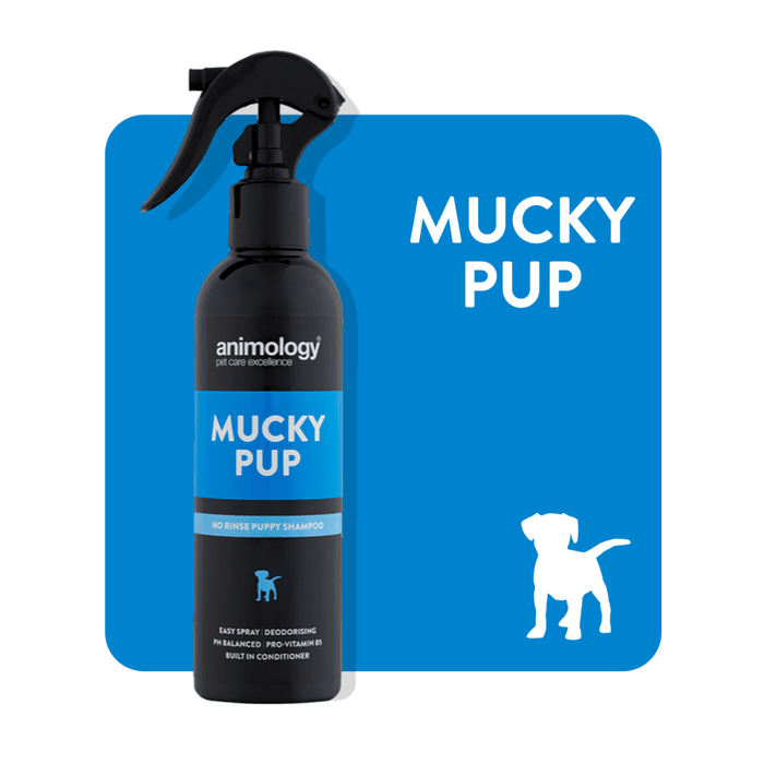 Spray Mucky Pup No Rinse Shampoo 250ml by Animology