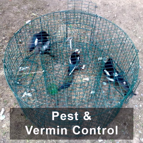 Pest & Vermin Control