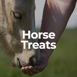 Horse Treats
