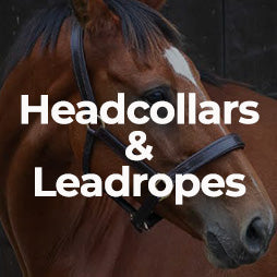 Headcollars & Leadropes