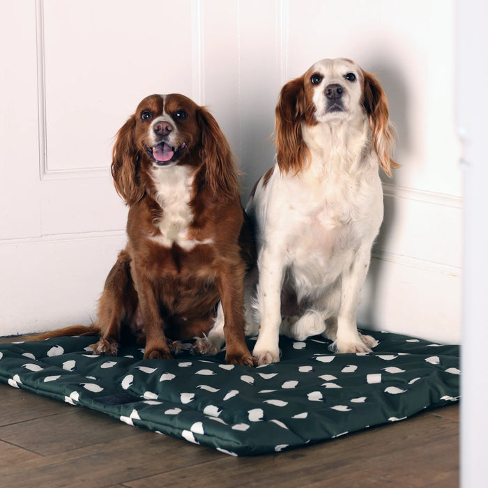 Digby & Fox Waterproof  Dog Bed -  Sheep