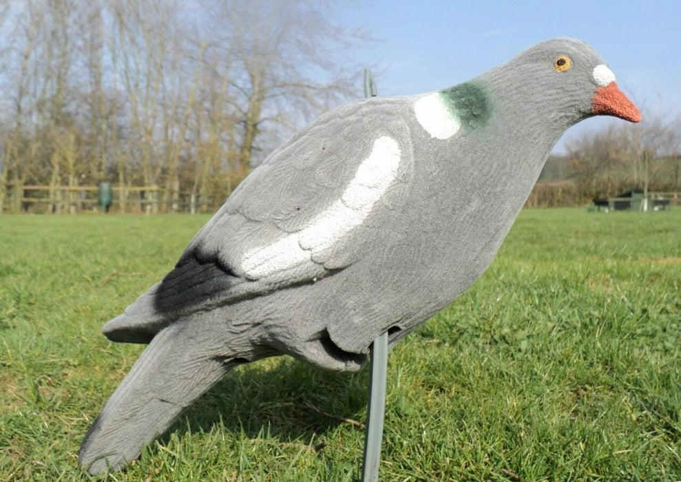 A1 Decoy Flocked Full Body Pigeon W/Feet  ( FPBFL)