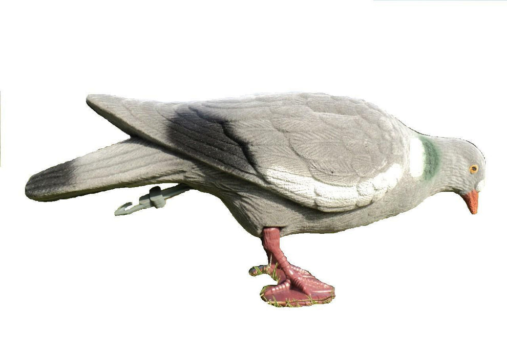 A1 Decoy Flocked Full Body Pigeon W/Feet  ( FPBFL)