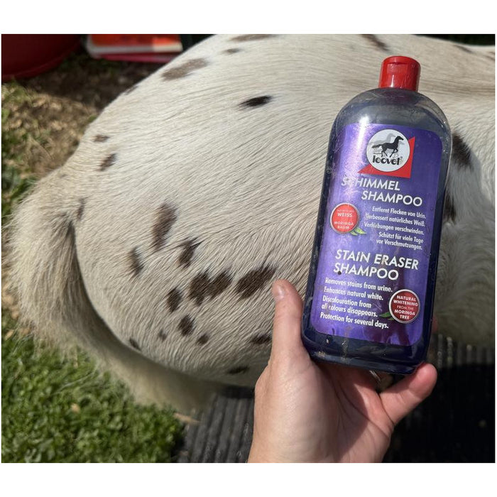 Leovet Stain Eraser Shampoo 500ml