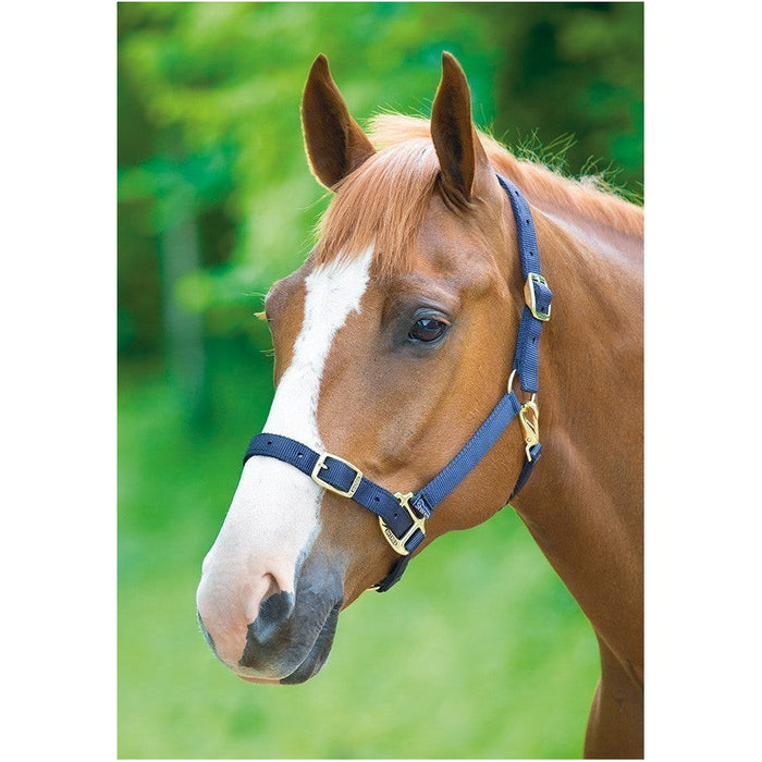 Shires Nylon Adjustable Headcollar Navy
