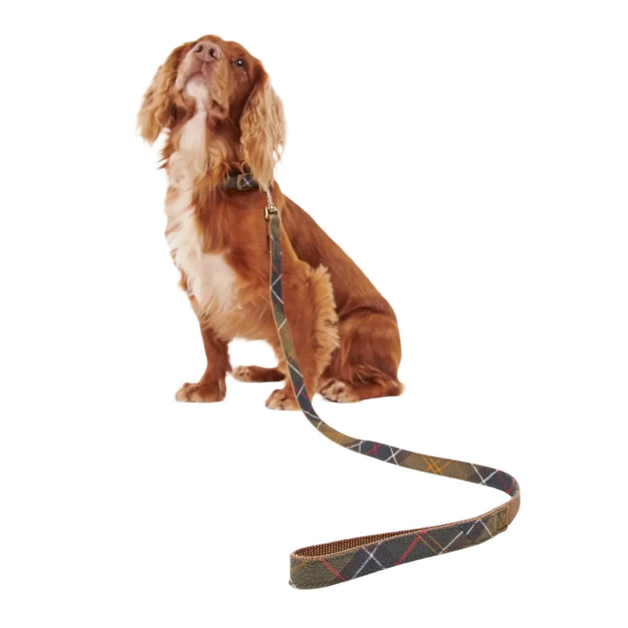 Barbour Tartan Webbing Dog Lead