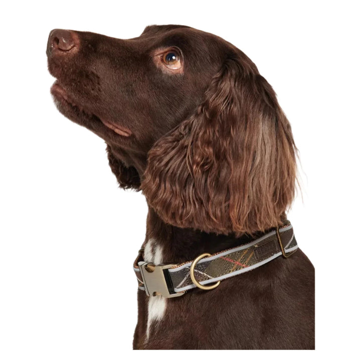 Barbour Reflective Tartan Dog Collar