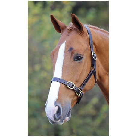 Shires Blenheim Fully Adjustable  Leather Headcollar