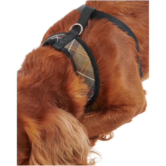 Barbour Tartan Dog Harness