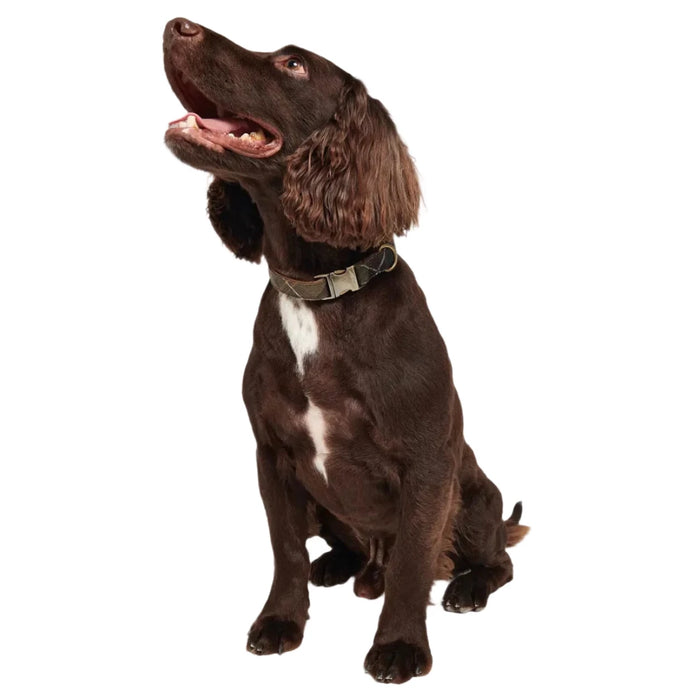 Barbour Reflective Tartan Dog Collar