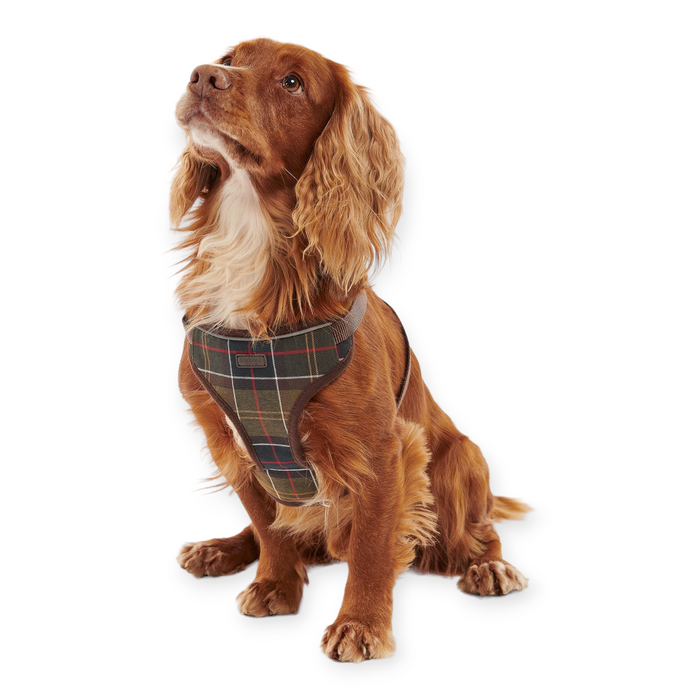 Barbour Dogs Travel & Excercise Harness