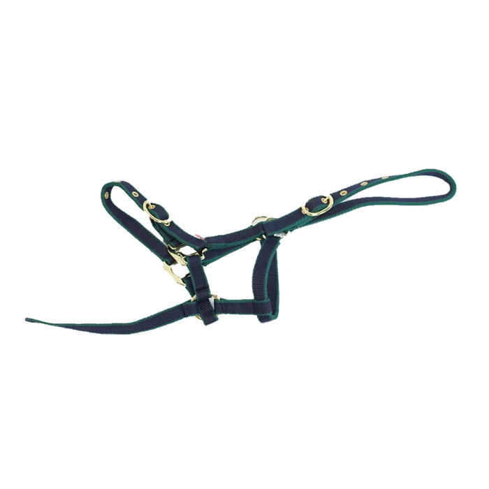 Equi-Sential Nylon Head Collar