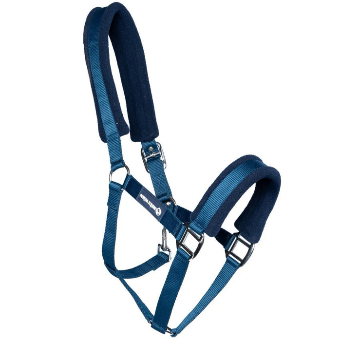 Ferdia Equine Padded Head Collar - Navy