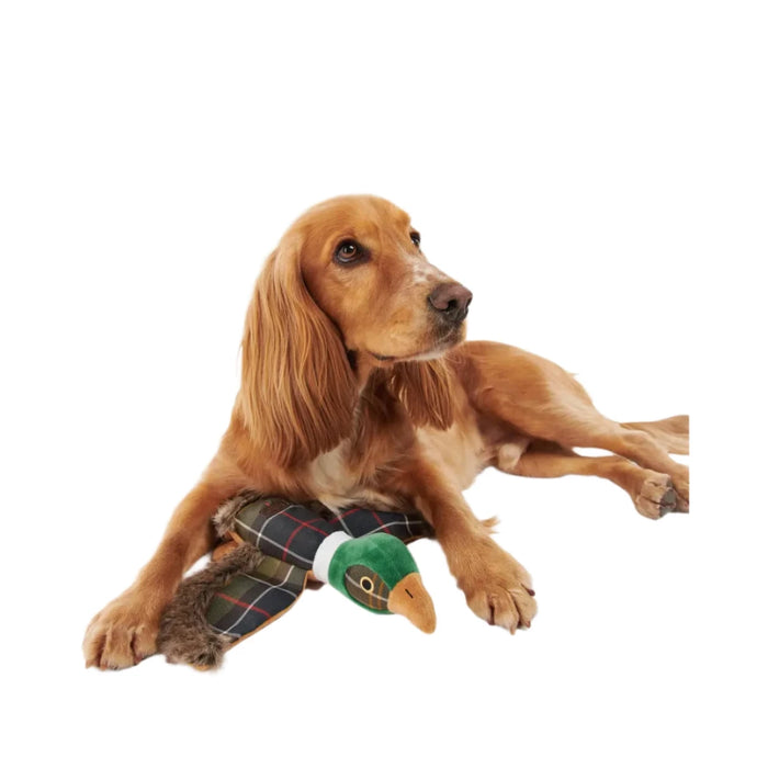 Barbour Pheasant Dog Toy