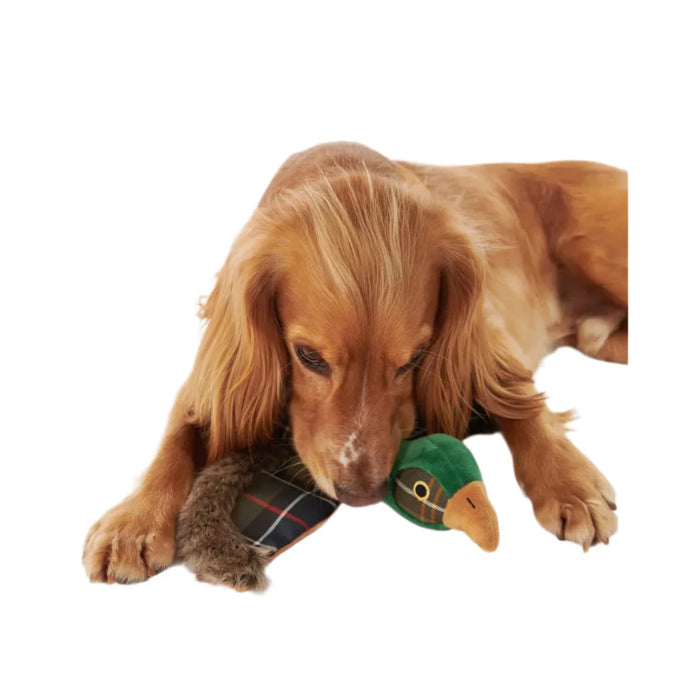Barbour Pheasant Dog Toy