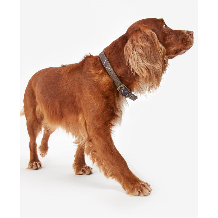 Barbour Classic Tartan Dog Collar