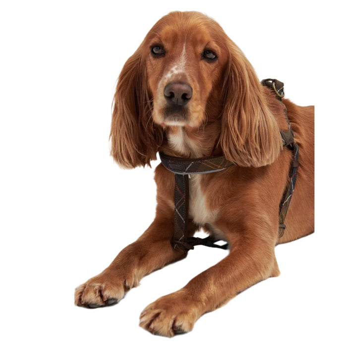 Barbour 5 Way Adjustable Dog Harness