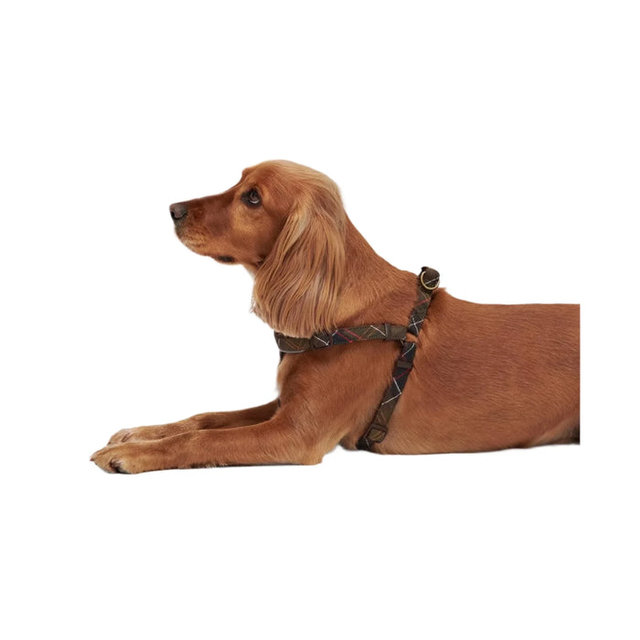 Barbour 5 Way Adjustable Dog Harness