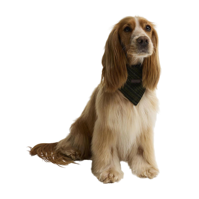 Barbour Wilkin Dog Bandana - Olive Check
