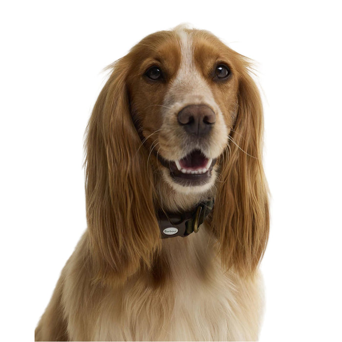 Barbour Tartan Printed Dog Collar - Classic Tartan