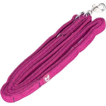 Digby & Fox Dog Lead