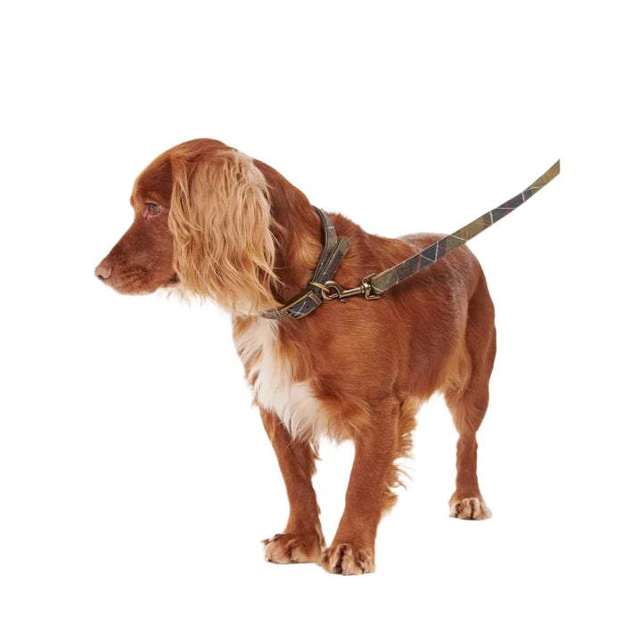 Barbour Tartan Webbing Dog Lead