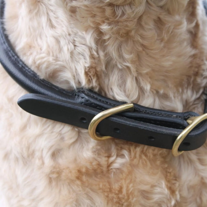 Mackey Rolled Leather Dog Collar Brown