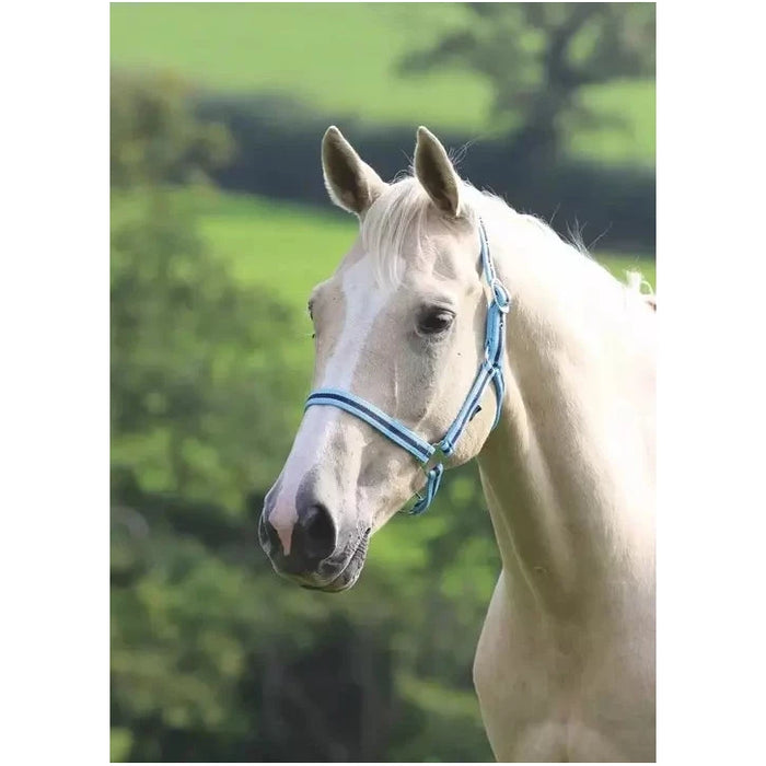 Shires Wessex Headcollar