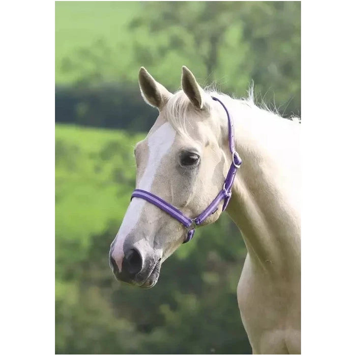 Shires Wessex Headcollar
