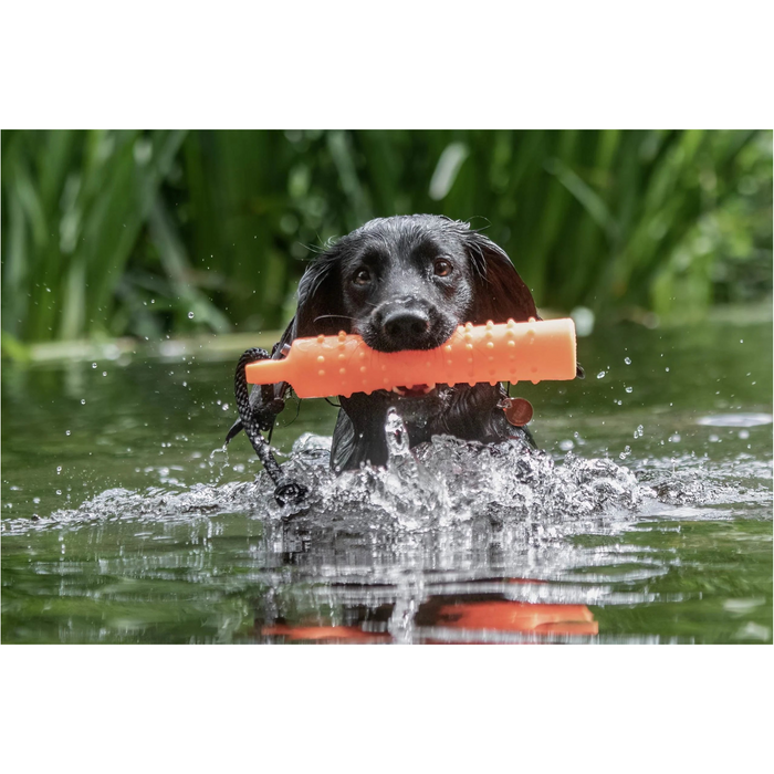 Sporting Saint  2" Water Dummies