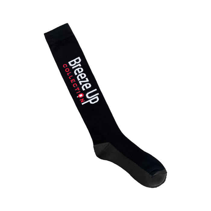 Breeze Up Thermo Pro Socks