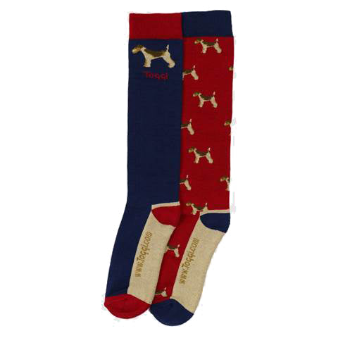 Toggi Terrier Socks - UK 4-8